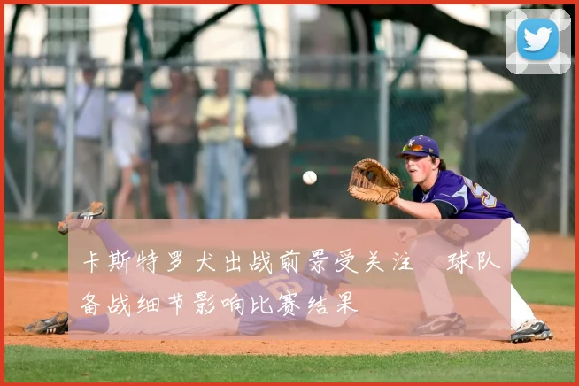 卡斯特罗犬出战前景受关注　球队备战细节影响比赛结果