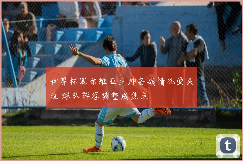 世界杯塞尔维亚主帅备战情况受关注 球队阵容调整成焦点