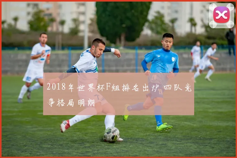 2018年世界杯F组排名出炉 四队竞争格局明朗